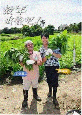 王牌对王牌 免费影视综艺